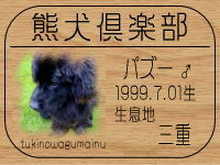 �I�[�i�[�́A�p�Y�[�Ƃ���ł���